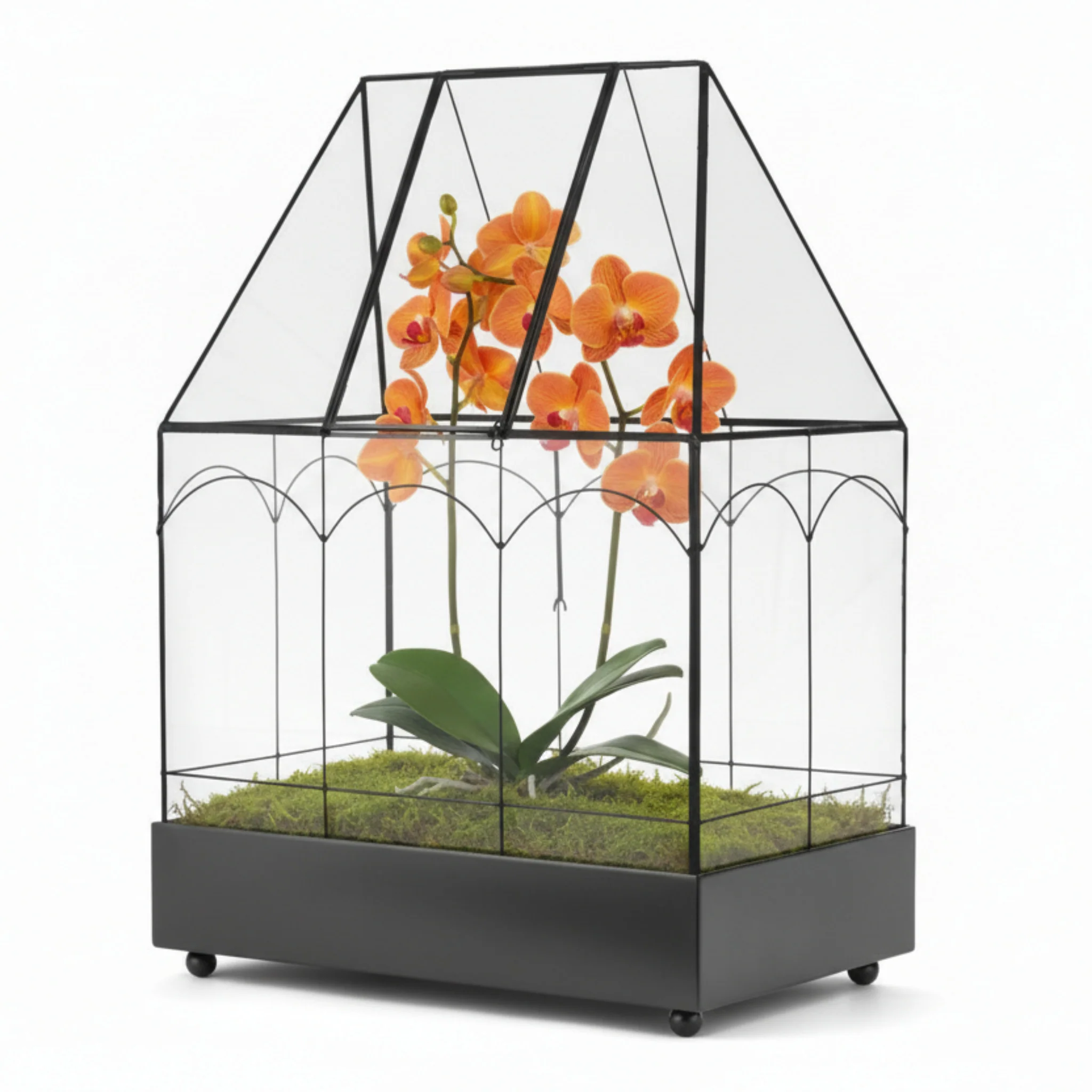 H Potter Estate Glass Terrarium Wardian – Indoor Garden - Image 10