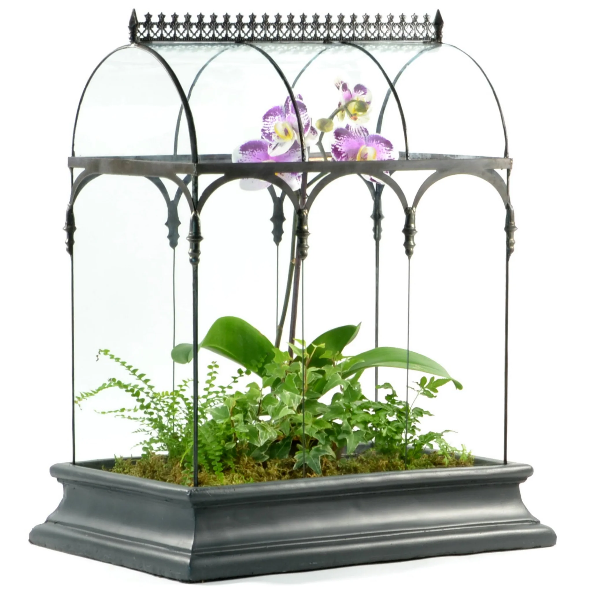 H Potter Large Glass Wardian Case: Barrel Vault Terrarium for Indoor Gardens - Image 4