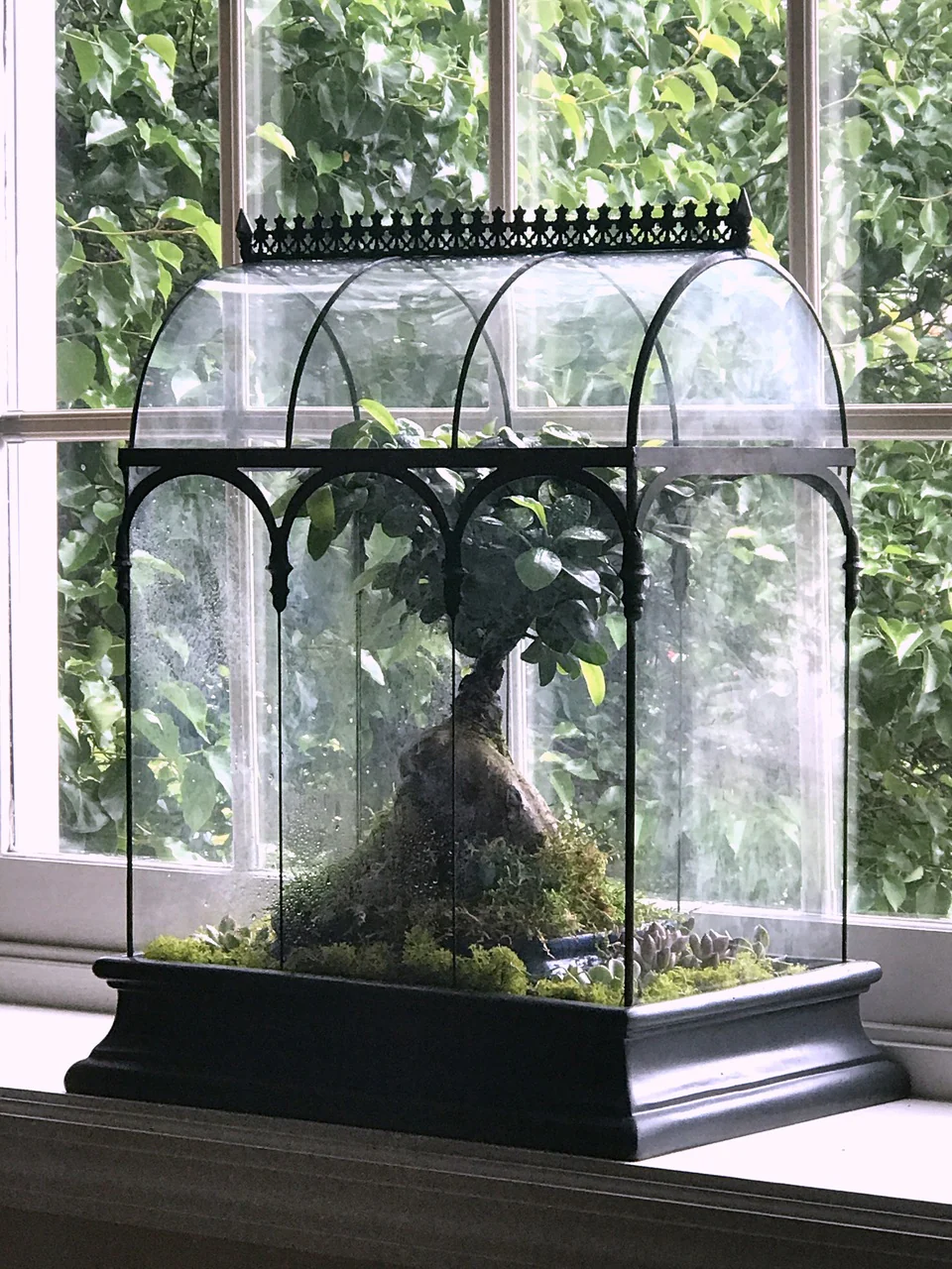 H Potter Large Glass Wardian Case: Barrel Vault Terrarium for Indoor Gardens - Image 6