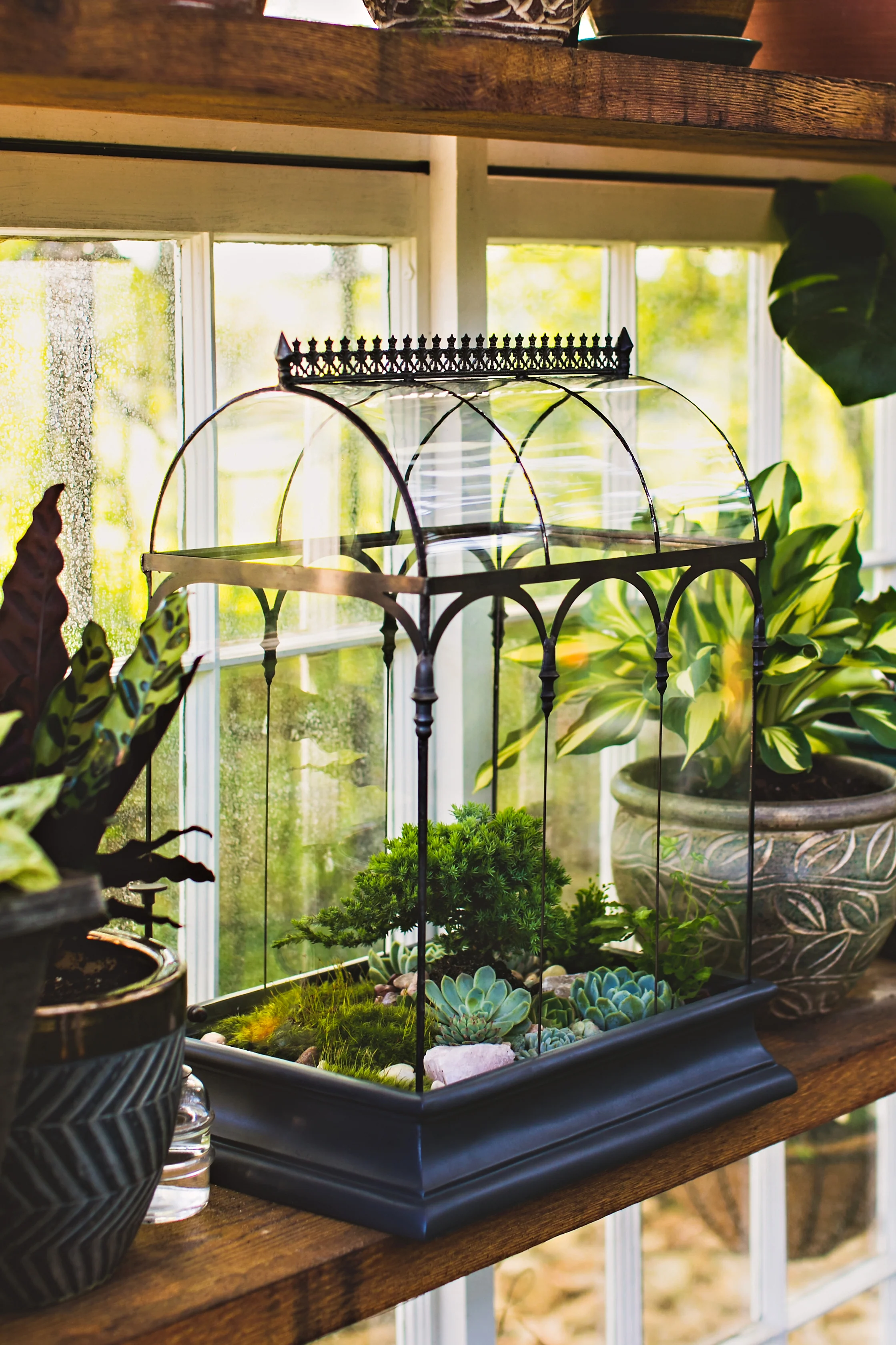 H Potter Large Glass Wardian Case: Barrel Vault Terrarium for Indoor Gardens - Image 7