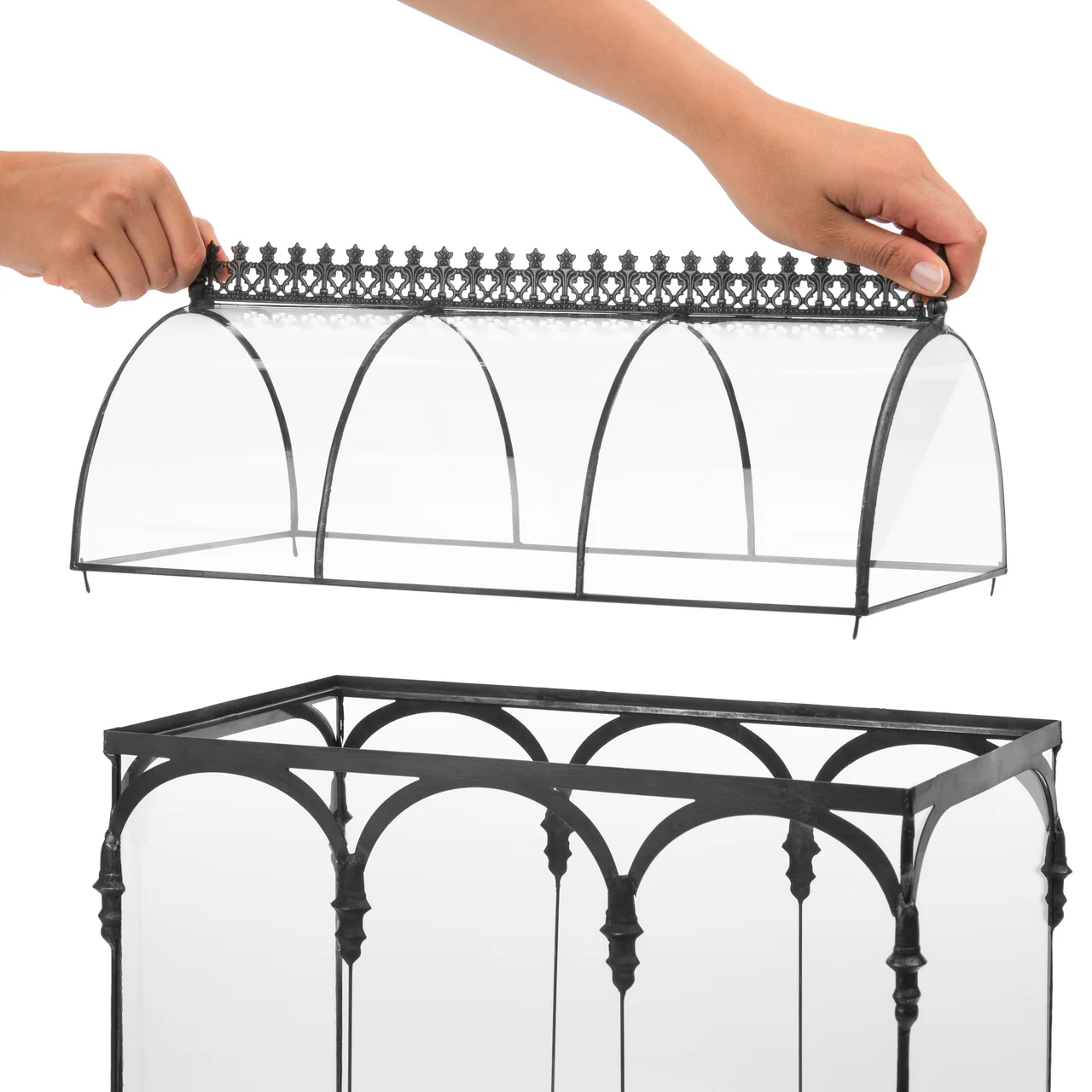 H Potter Large Glass Wardian Case: Barrel Vault Terrarium for Indoor Gardens - Image 9