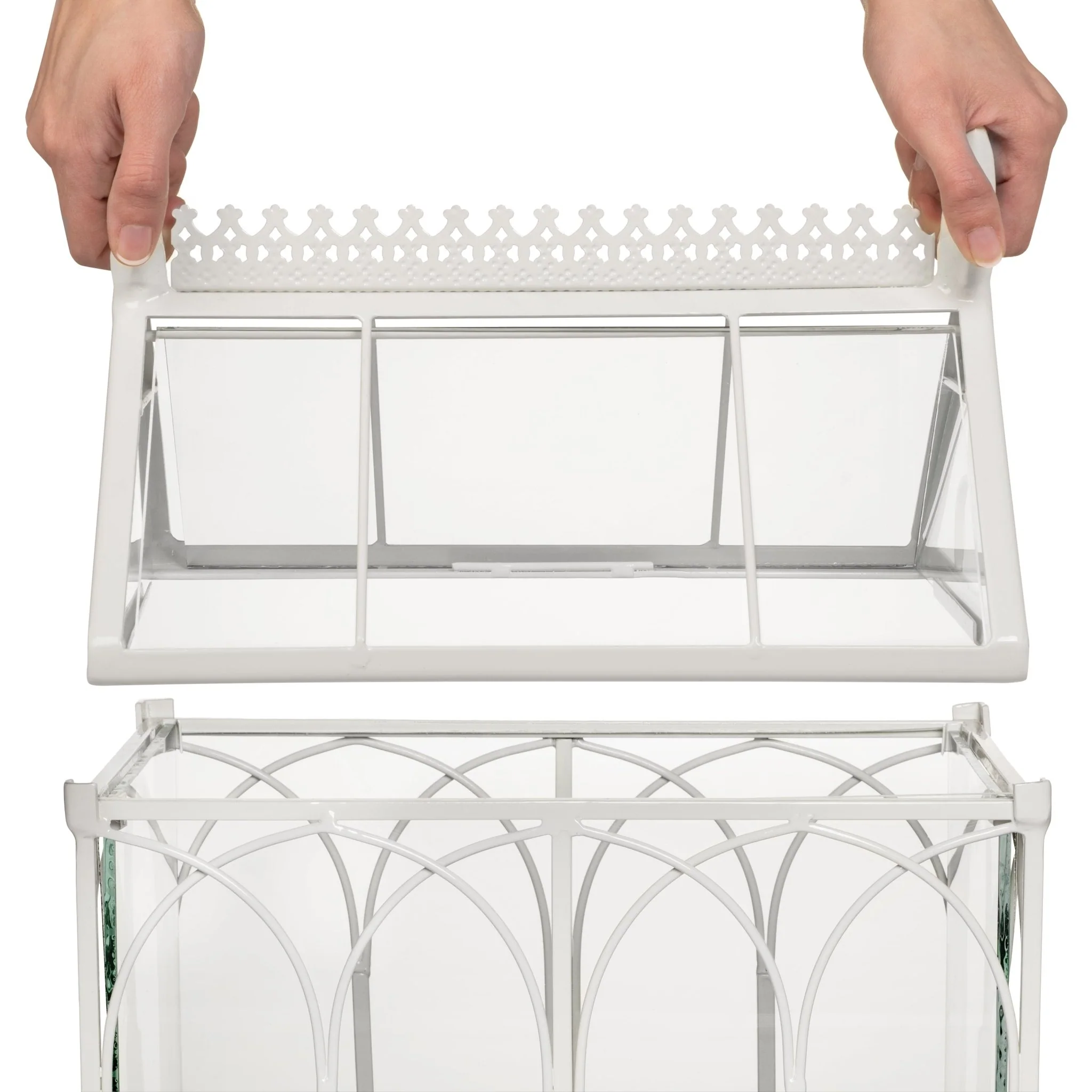 H Potter Conservatory Wardian Case Terrarium – Metal & Glass Tabletop Greenhouse - Image 10