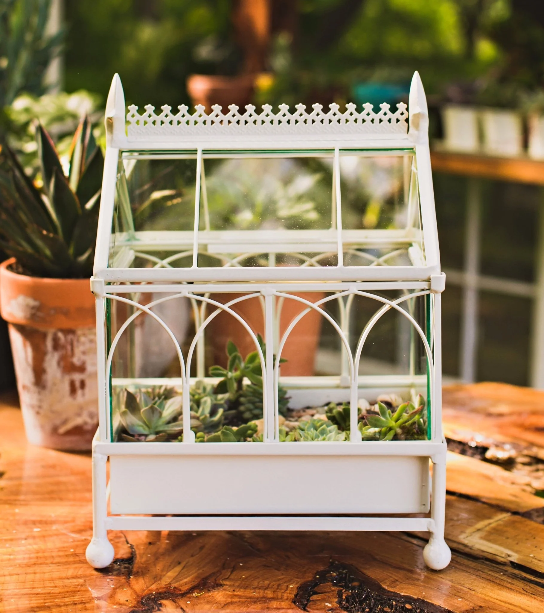H Potter Conservatory Wardian Case Terrarium – Metal & Glass Tabletop Greenhouse - Image 11
