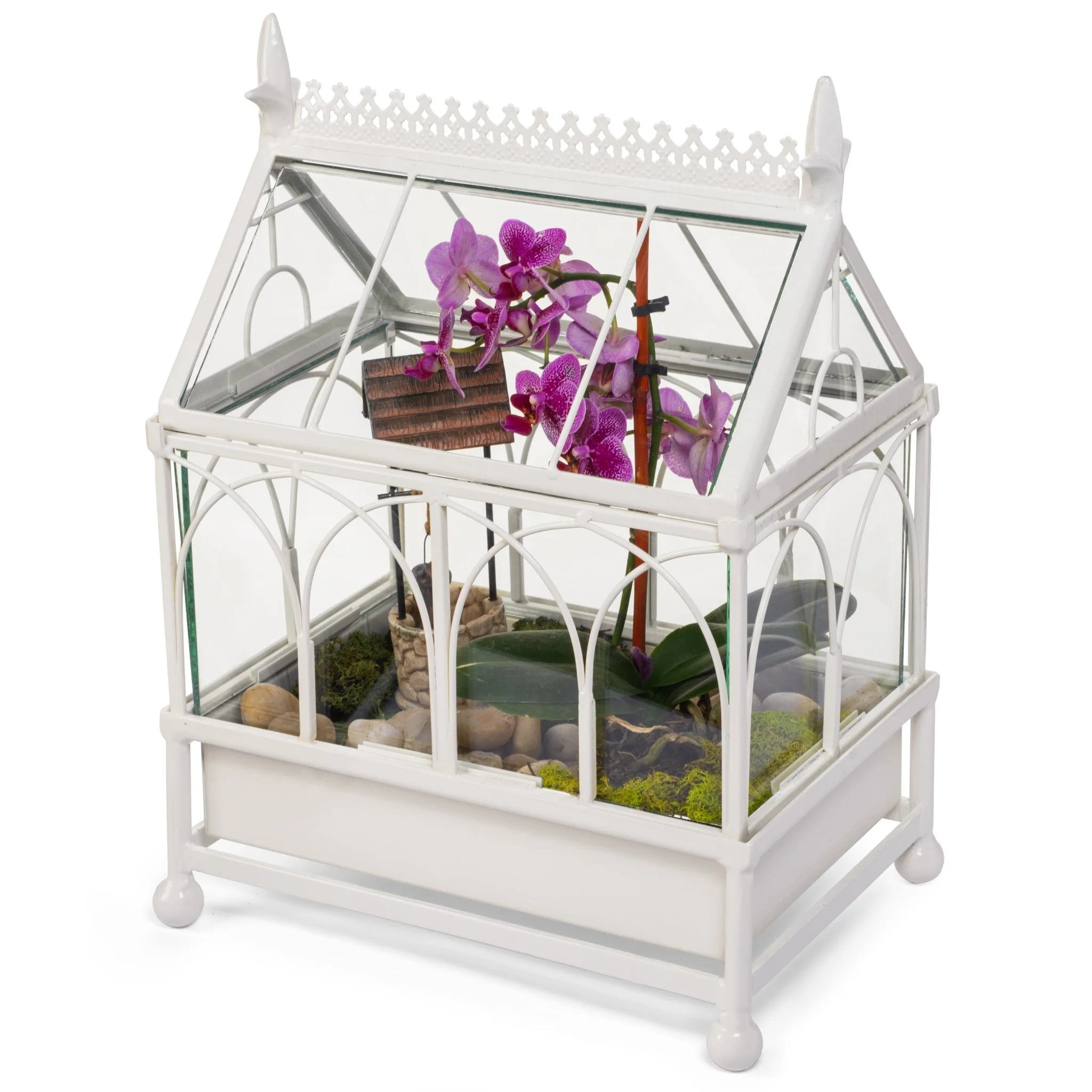 H Potter Conservatory Wardian Case Terrarium – Metal & Glass Tabletop Greenhouse - Image 12