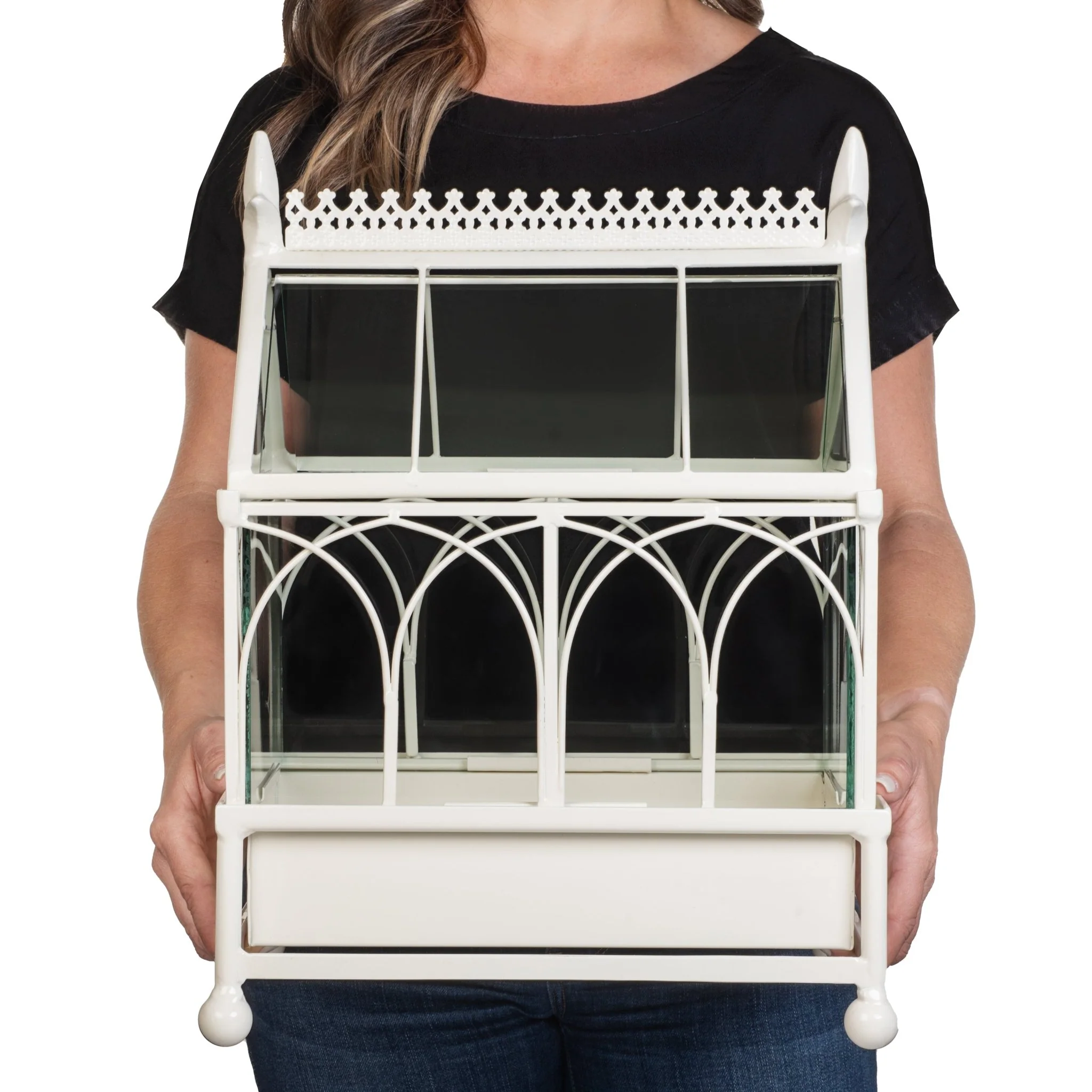 H Potter Conservatory Wardian Case Terrarium – Metal & Glass Tabletop Greenhouse - Image 6