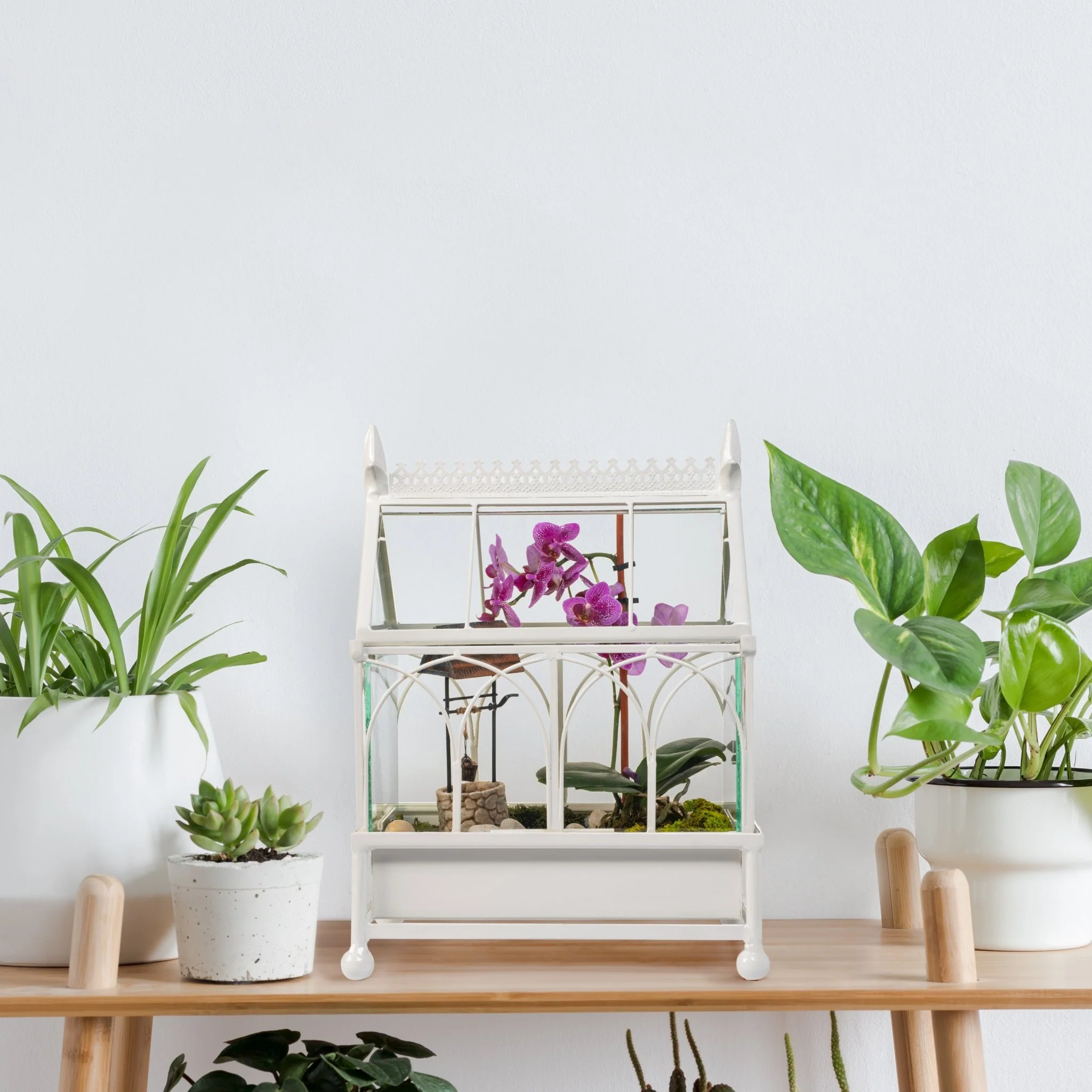 H Potter Conservatory Wardian Case Terrarium – Metal & Glass Tabletop Greenhouse - Image 7