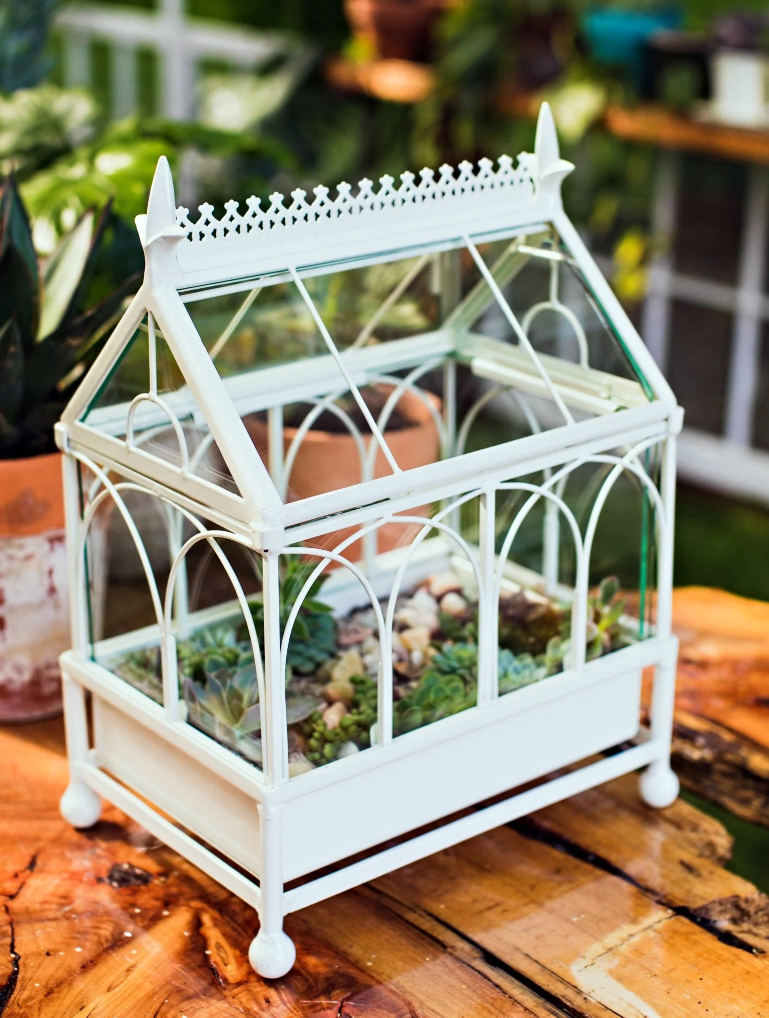 H Potter Conservatory Wardian Case Terrarium – Metal & Glass Tabletop Greenhouse - Image 9