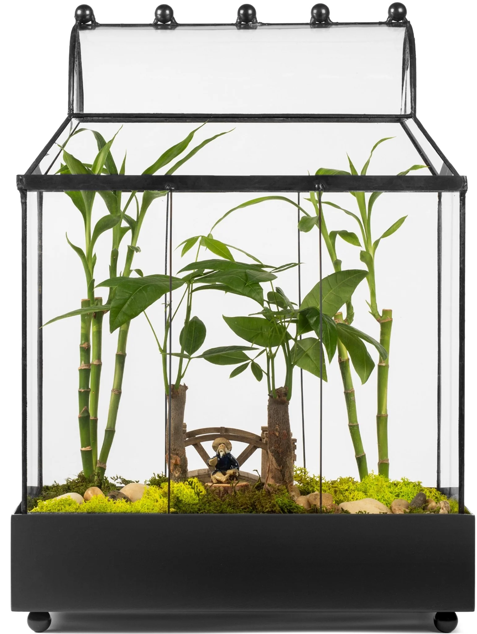 H Potter Glass Terrarium | Heirloom Wardian Case Planter - Image 10
