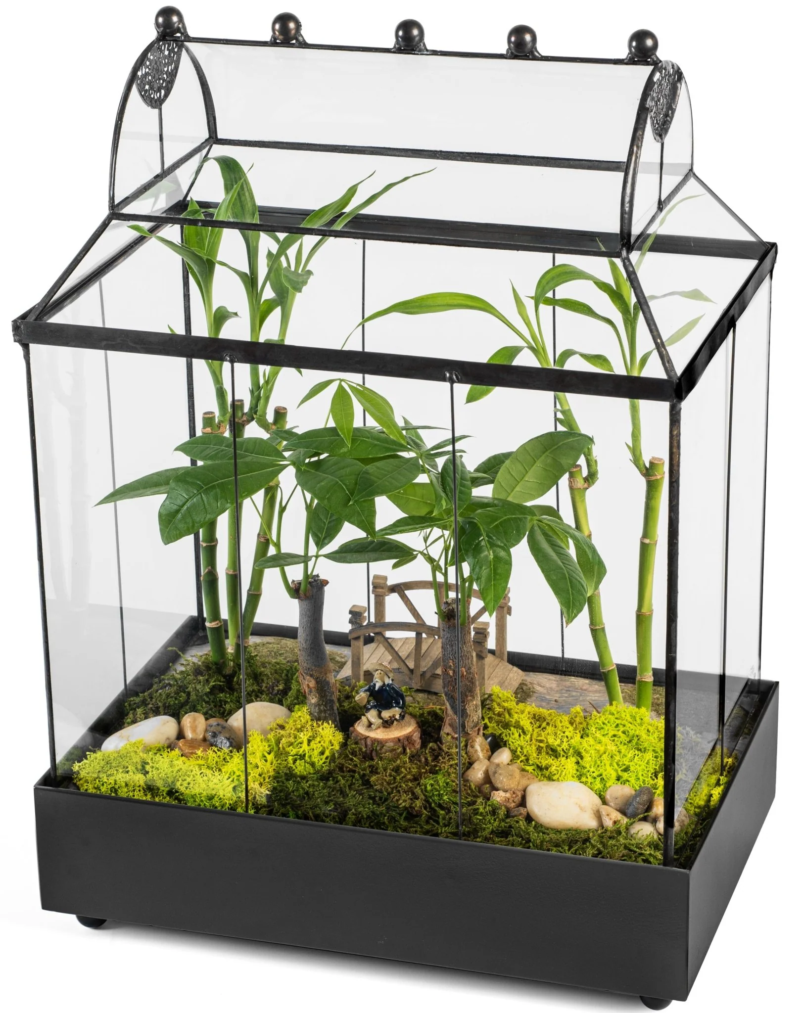 H Potter Glass Terrarium | Heirloom Wardian Case Planter - Image 3