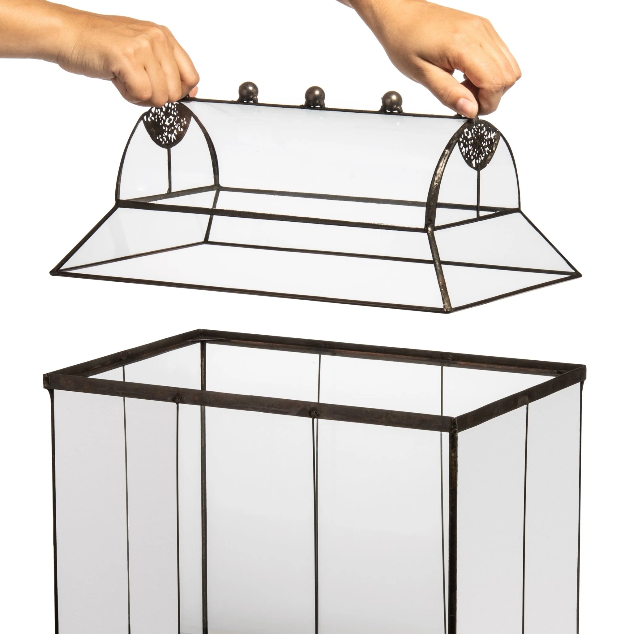 H Potter Glass Terrarium | Heirloom Wardian Case Planter - Image 8