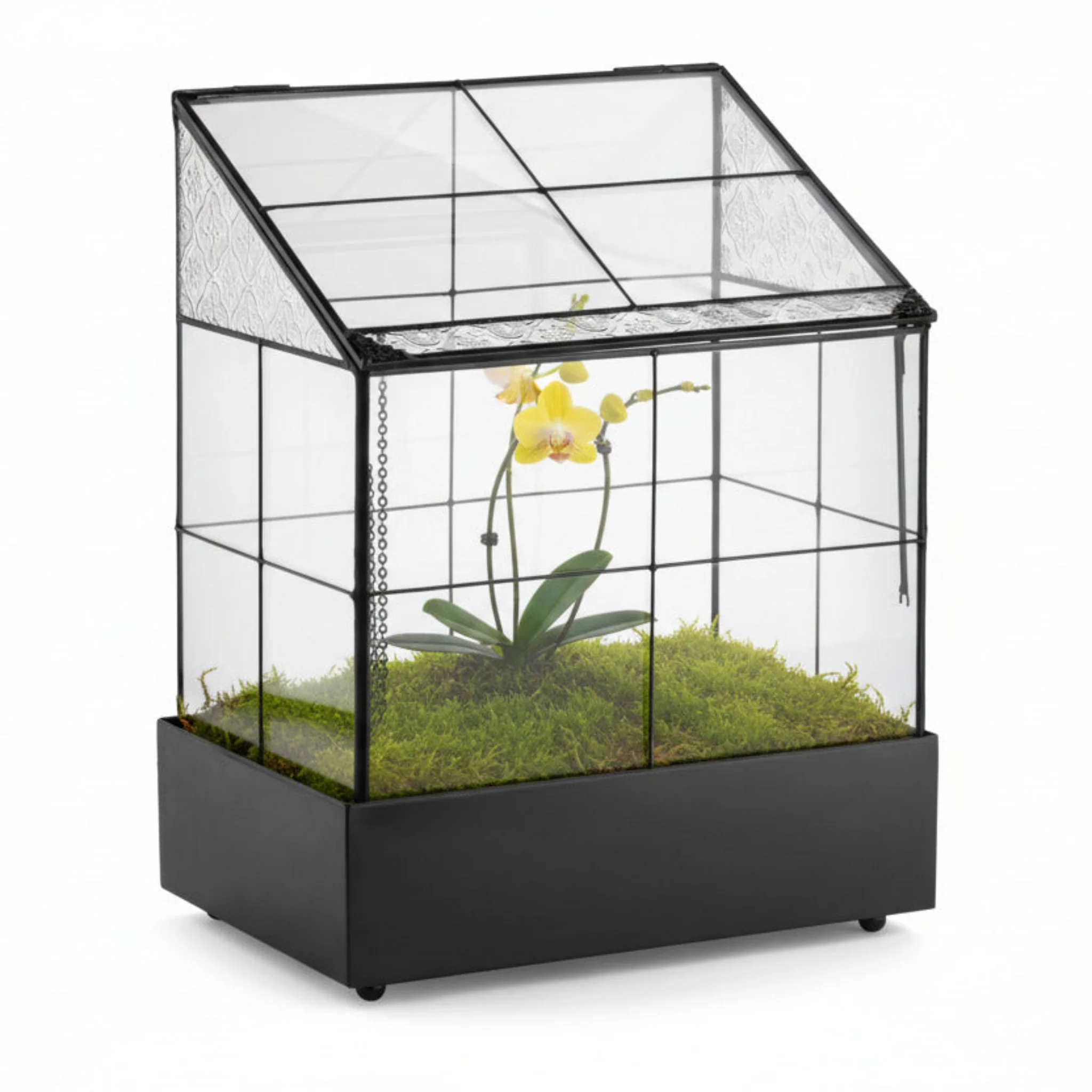H Potter Wardian Case Terrarium Planter Container WAR160 - Image 6