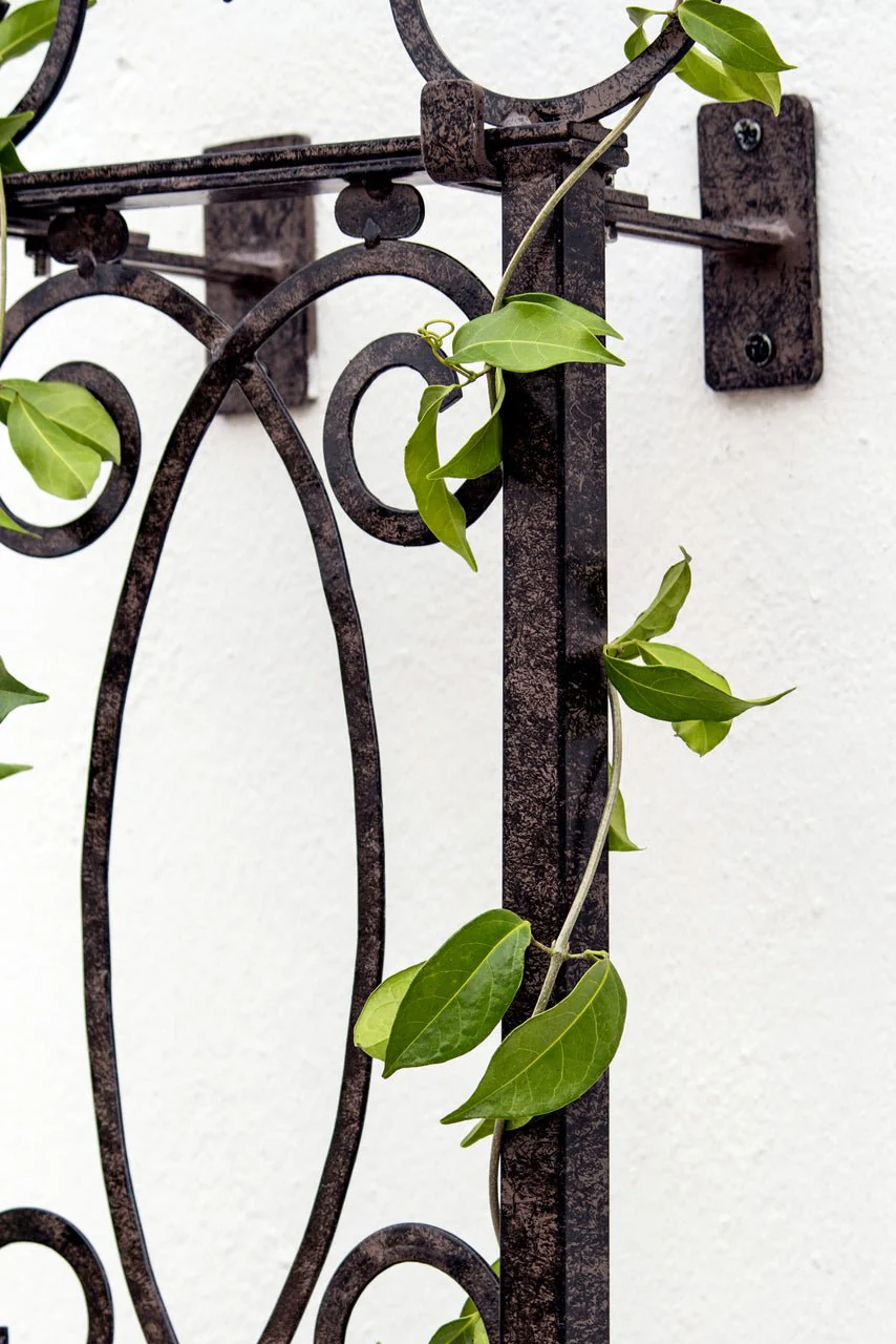 H Potter Heritage Scroll Garden Trellis Set of 3 – Metal Wall Trellises - Charcoal Brown - Image 11