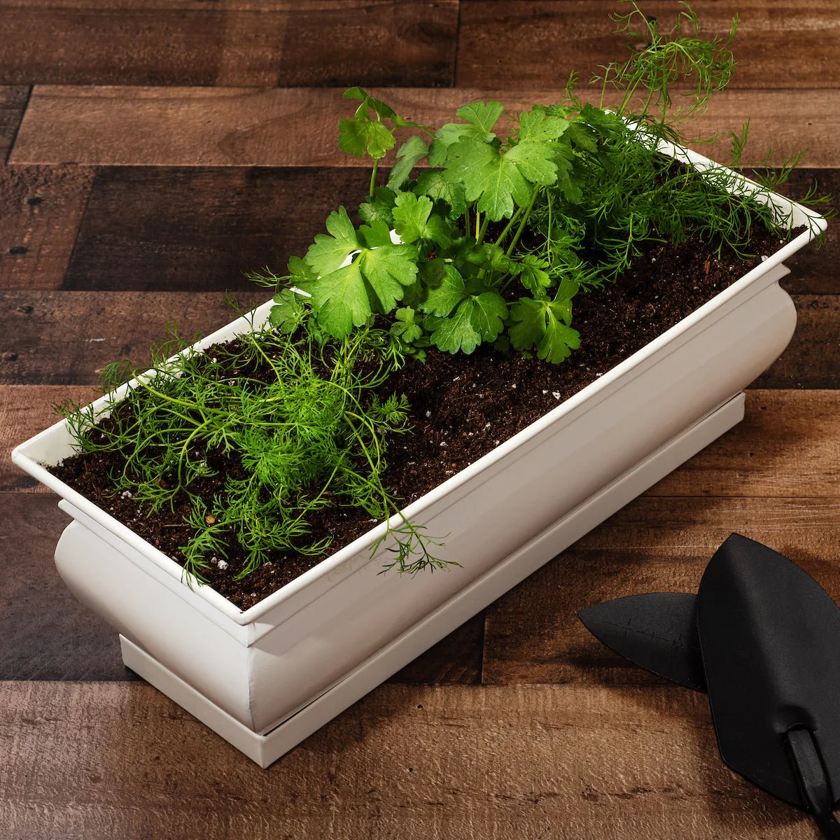 H Potter Herb Pot Indoor Window Succulent Planter with Drainage and Tray - Image 3