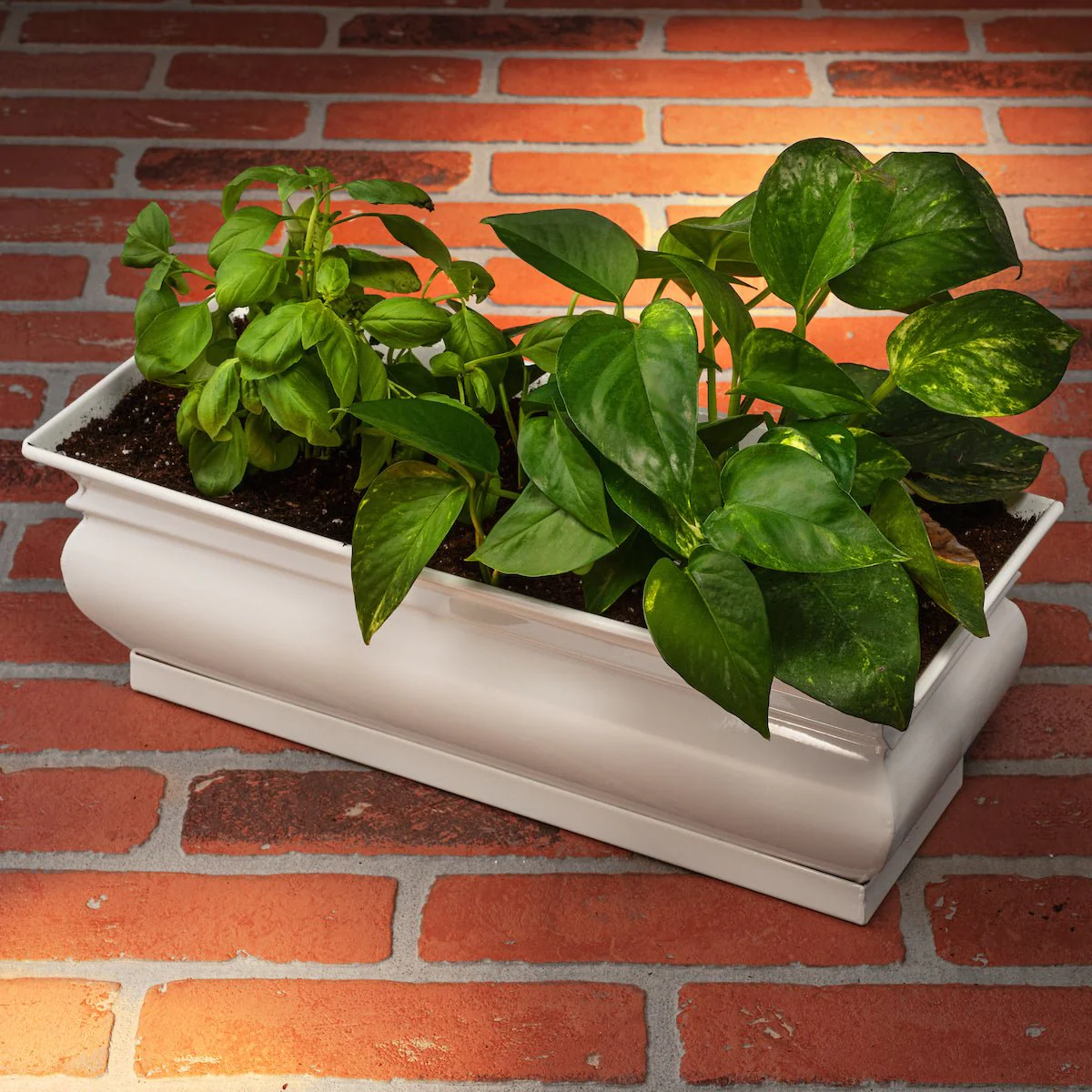 H Potter Herb Pot Indoor Window Succulent Planter with Drainage and Tray - Image 8
