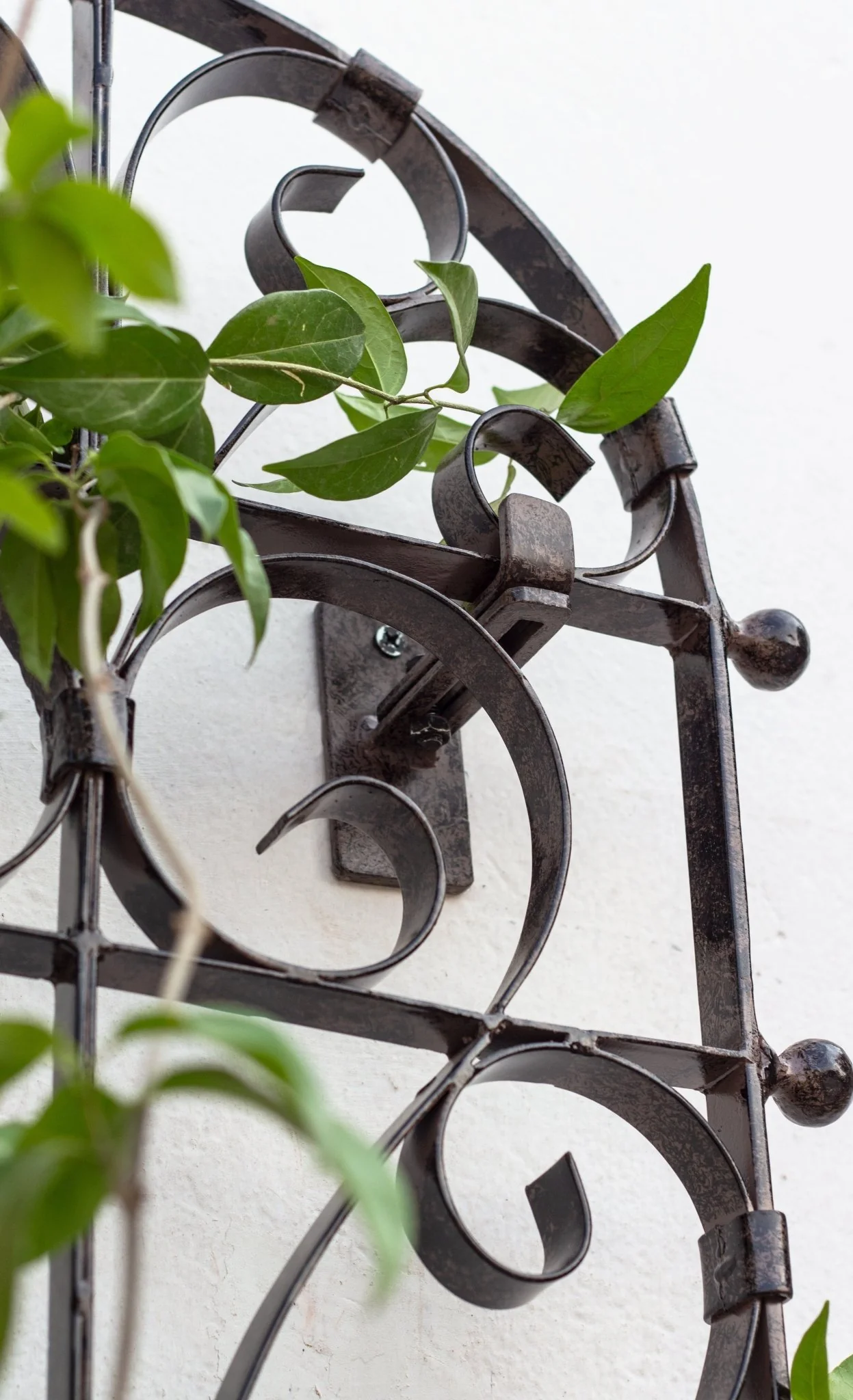 H Potter Italian Wall Trellis - Iron Garden Screens -  68" Tall - Image 8