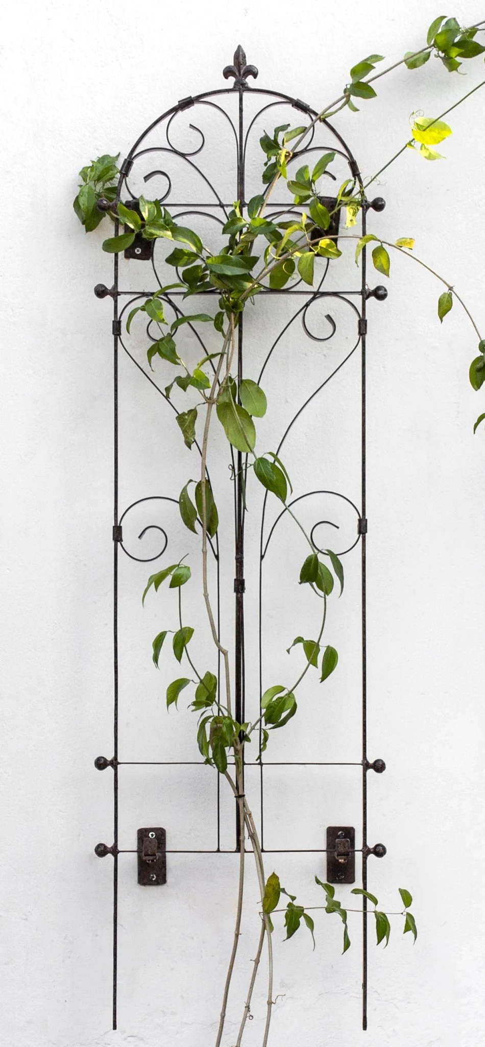 H Potter Italian Wall Trellis - Set of 2 - Iron Garden Screens - 68" Tall - Image 7