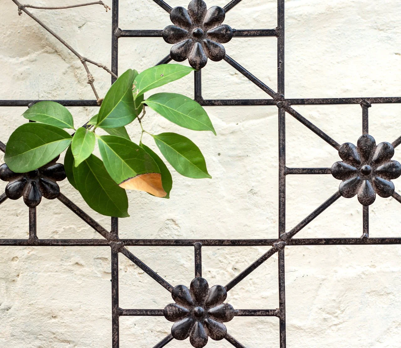 H Potter Delaney Wall Trellis - Set of 3 – 69" Tall Charcoal Brown - Iron Garden Screen - Image 6