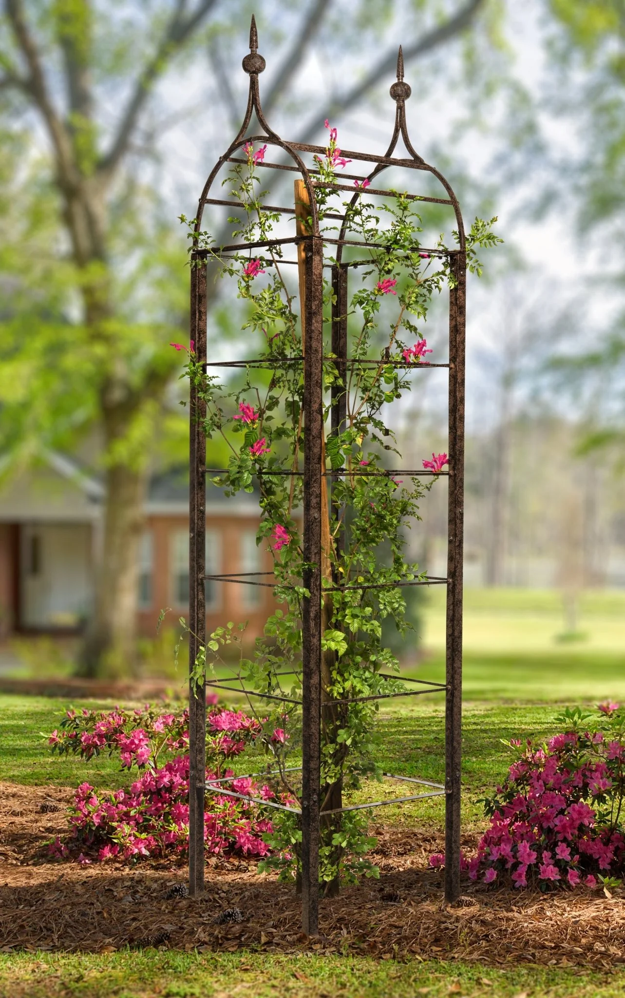 H Potter Ogee Obelisk Garden Trellis - Large Metal Structure - Image 9