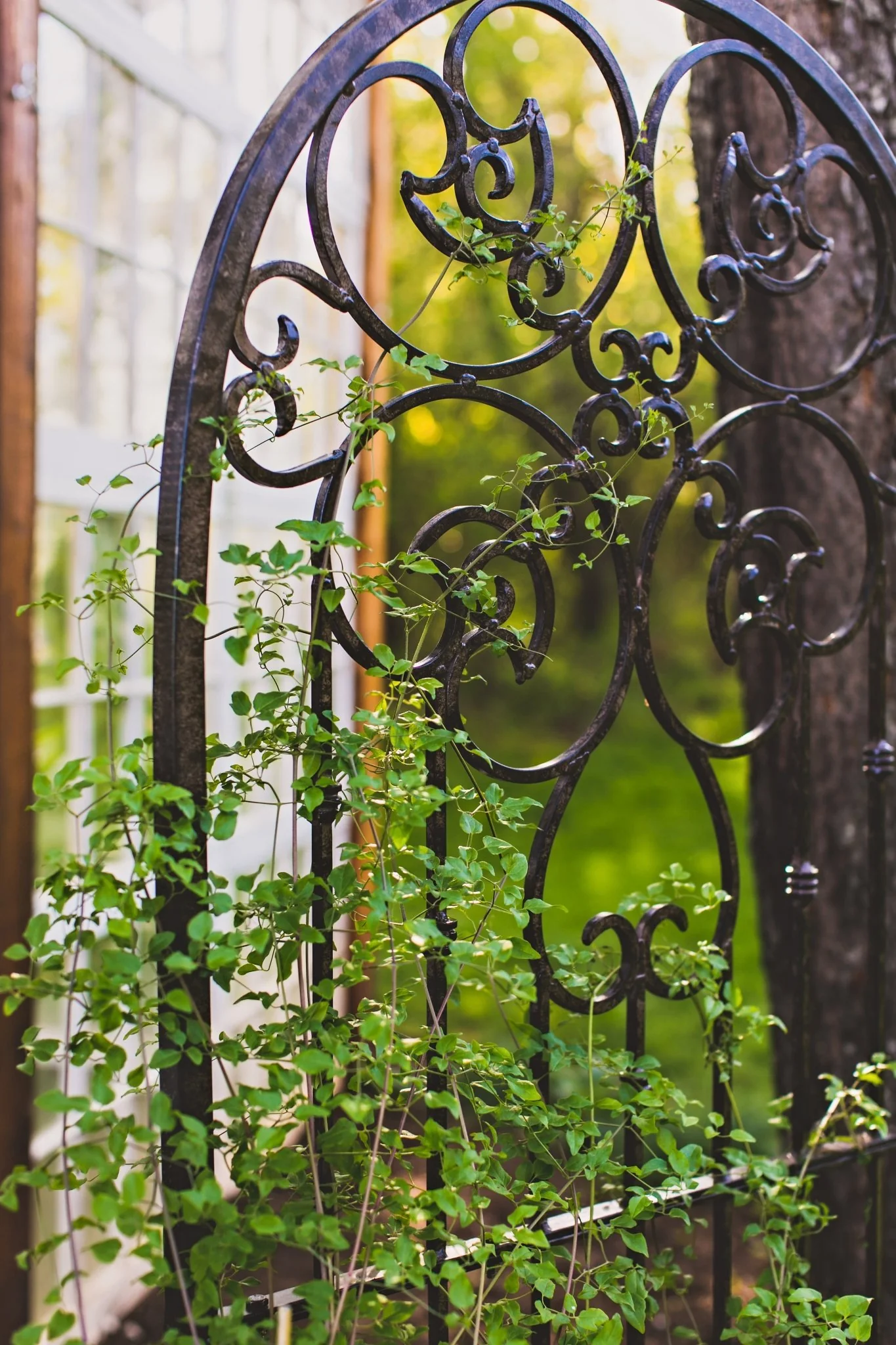 H Potter Legacy Freestanding Trellis – 6 Ft Tall Iron Garden Screen - Charcoal Brown - Image 6