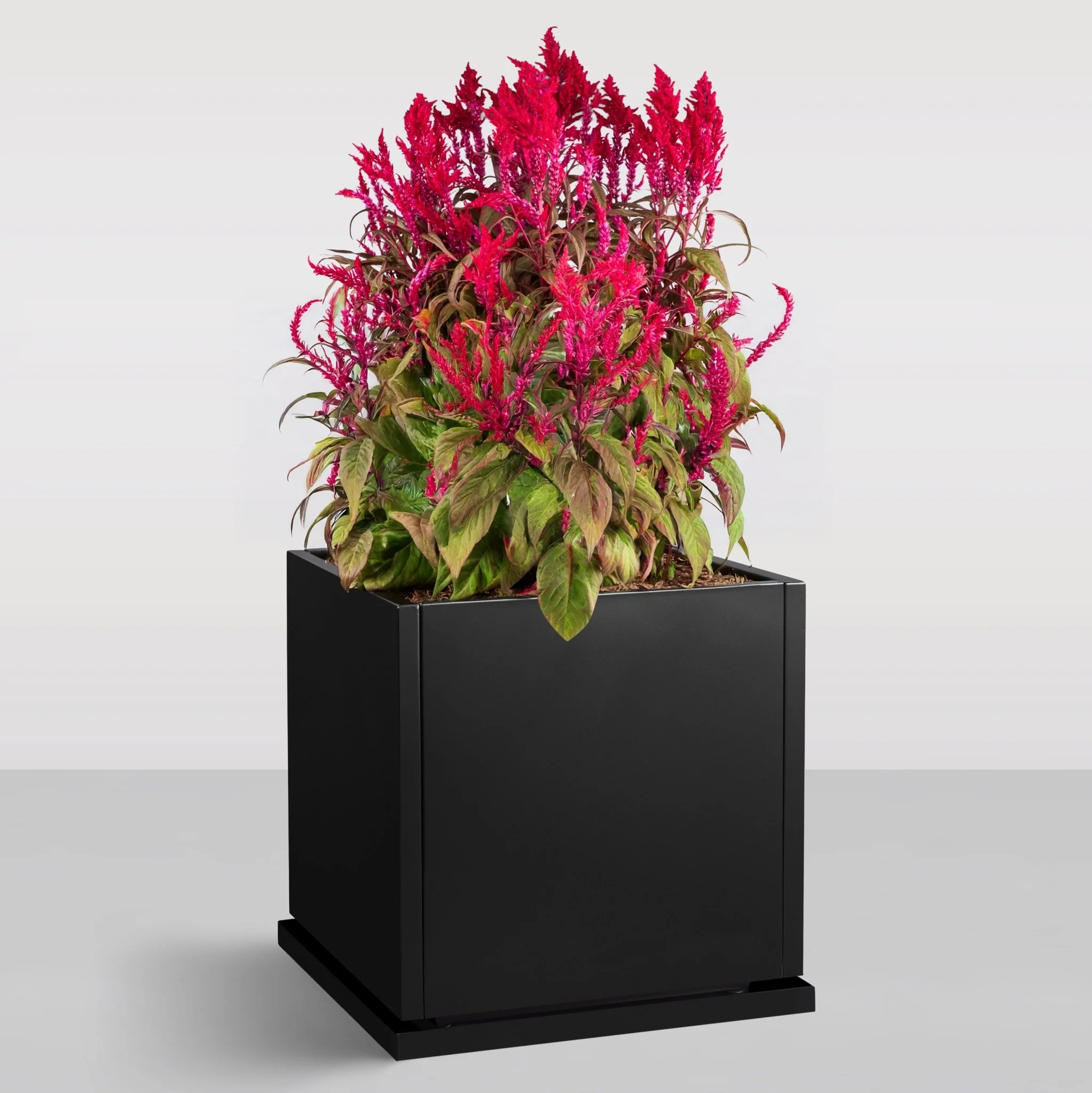 H Potter 20" Laurel Black Square Metal Planter with Drip Tray | Indoor Outdoor Planter - Image 9