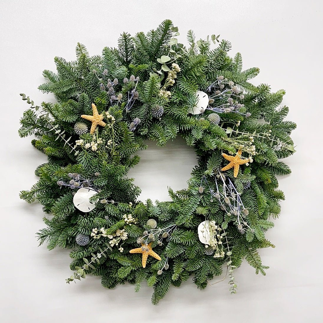 H Potter - Fresh Tidings By The Tide Wreath
