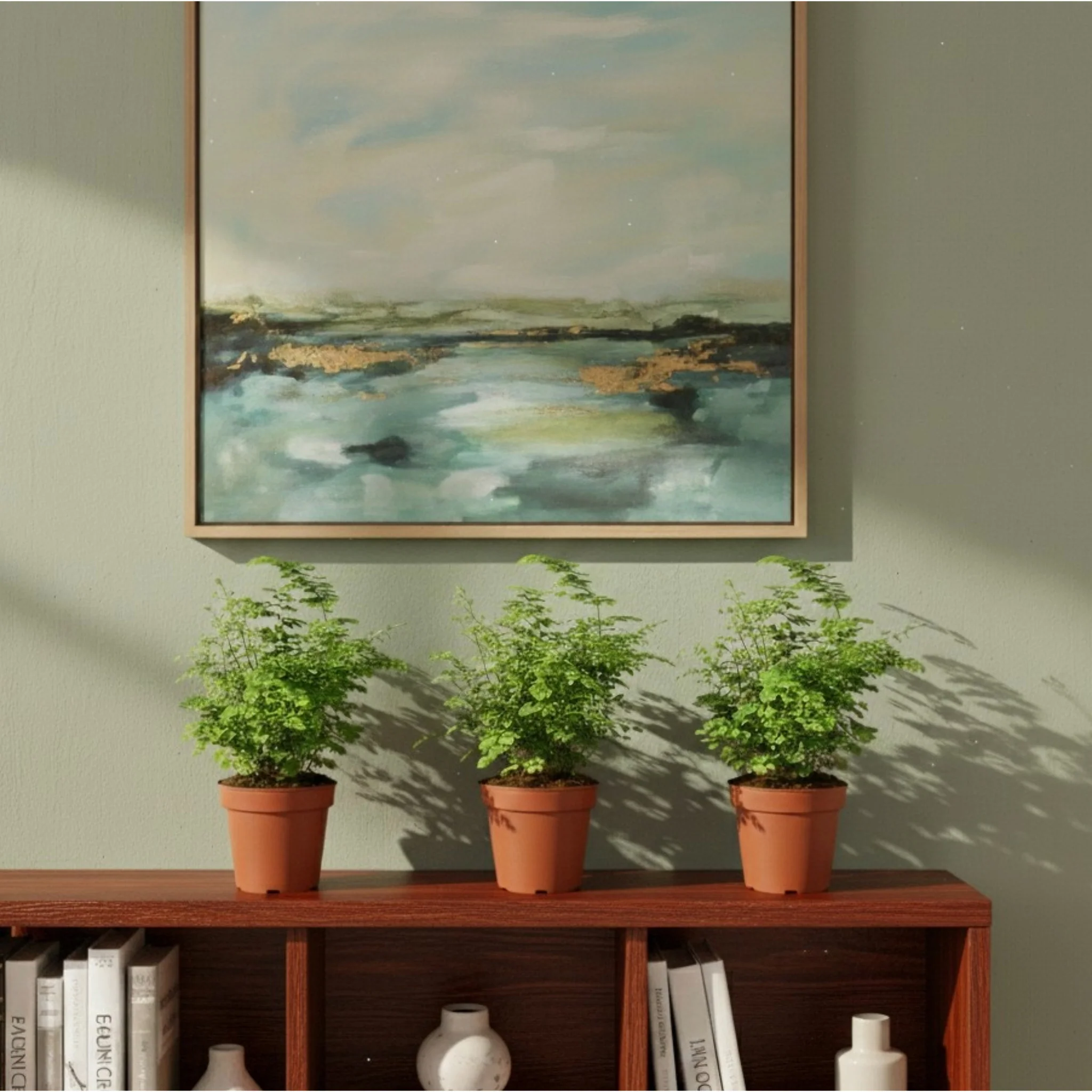 Maidenhair Fern (Adiantum capillus-veneris) - Image 2