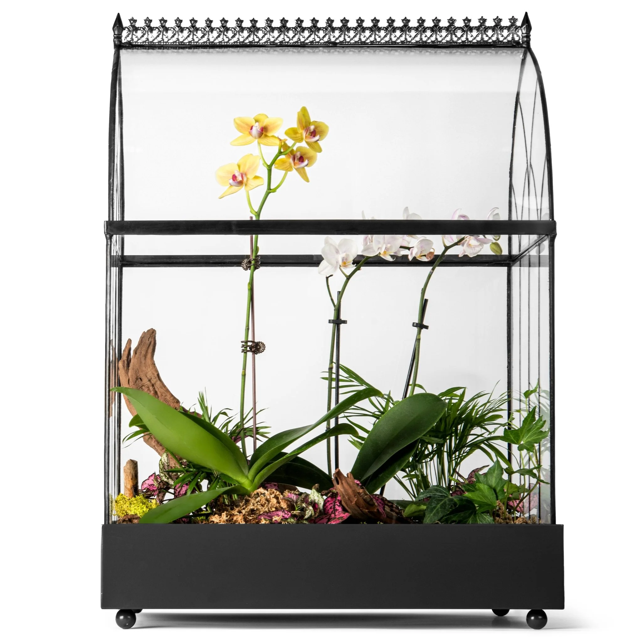 H Potter Large Terrarium Wardian Case - Glass Plant Container - Image 10