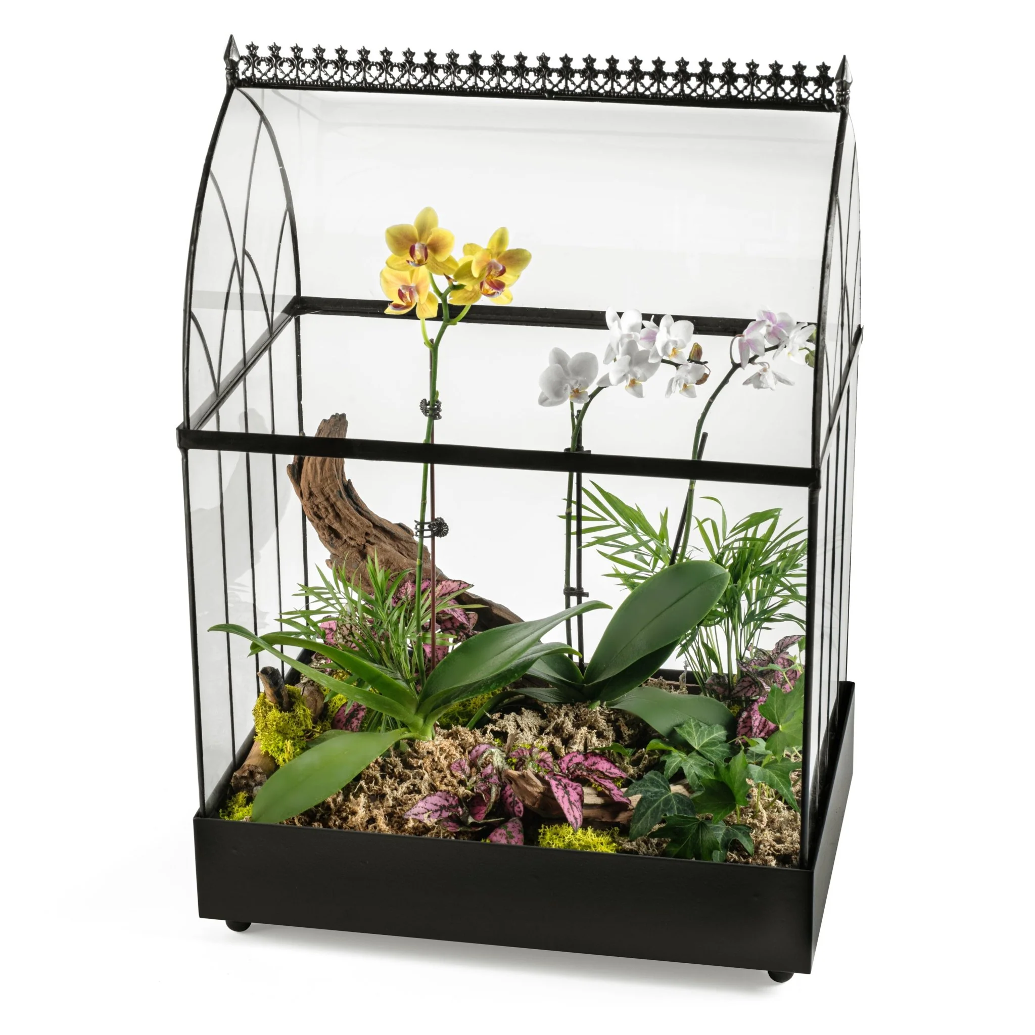 H Potter Large Terrarium Wardian Case - Glass Plant Container - Image 15