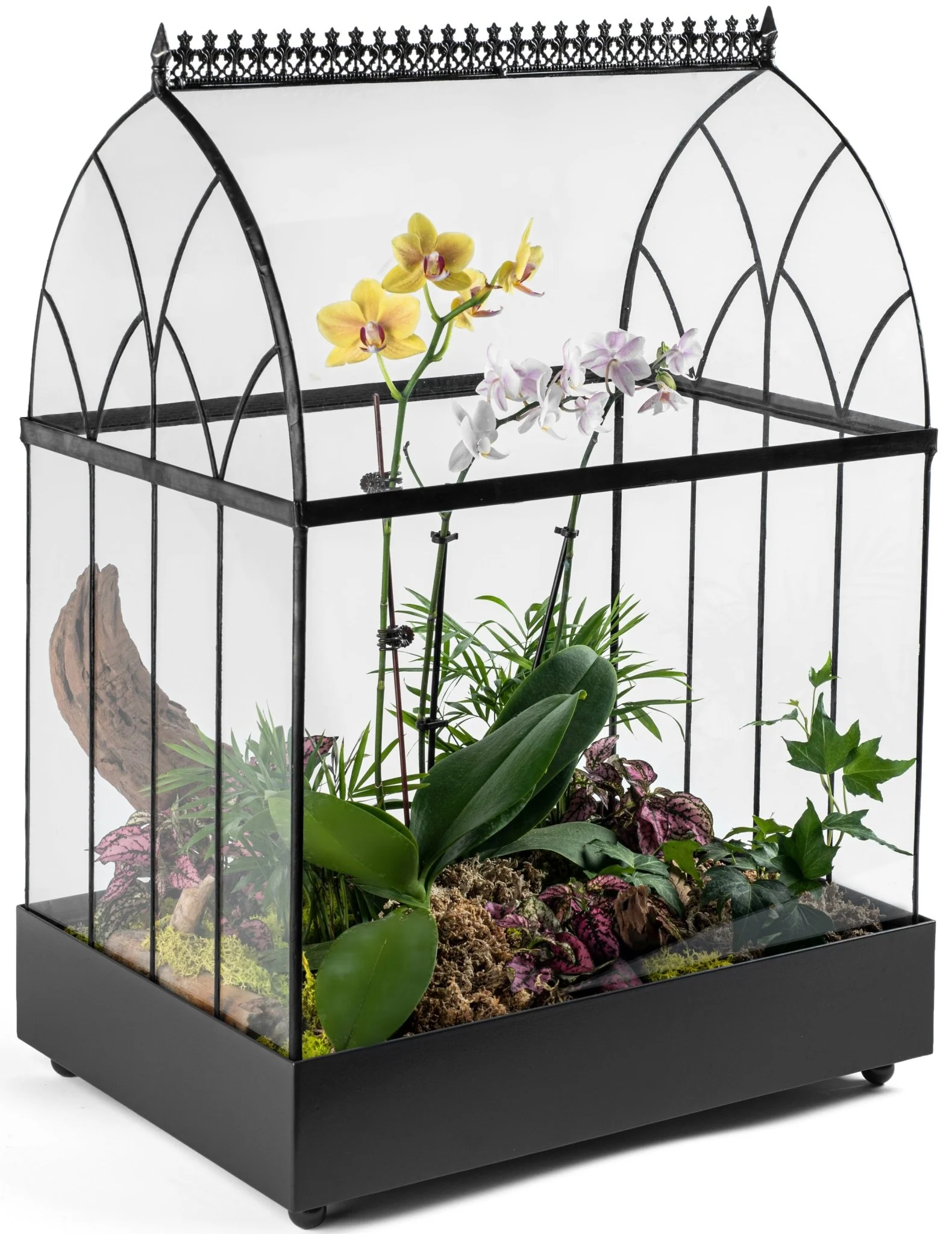 H Potter Large Terrarium Wardian Case - Glass Plant Container - Image 7
